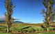 Estate Tuscany - thumb 1