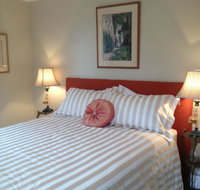 Every Man and His Dog Vineyard - C Tourism