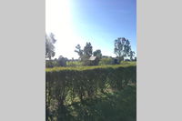 Book Benalla Accommodation Vacations C Tourism C Tourism