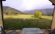 Five Clematis Views - thumb 3