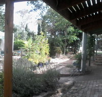 Friends in Harcourt North - C Tourism