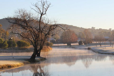 FROGGIES HOLIDAY HOUSE - C Tourism 1
