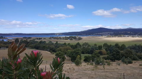 George River Park (House, 100 Acres, Animals, Views) - C Tourism 2