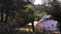 Book Zeehan Accommodation Vacations C Tourism C Tourism
