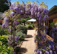 Gumtree House Montville - C Tourism