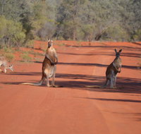 Gundabooka National Park Cottages - C Tourism
