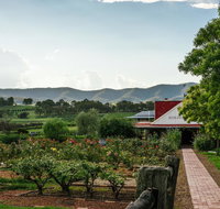 Hanging Tree Wines - C Tourism