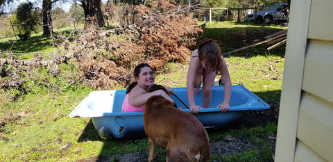 Hideaway Valley Farm - C Tourism 3