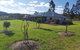 Jasmine Lodge - thumb 2