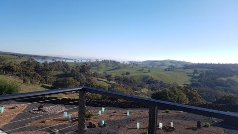 Jinji's Edge Escape - C Tourism 2