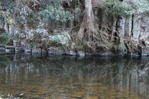 Kaalba - C Tourism 1