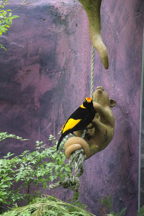 Kaalba - C Tourism 3