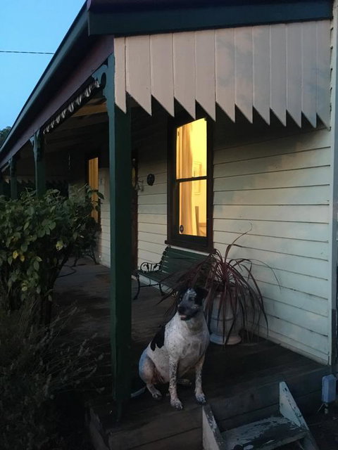 Kaikora Seaside Cottage - C Tourism 1
