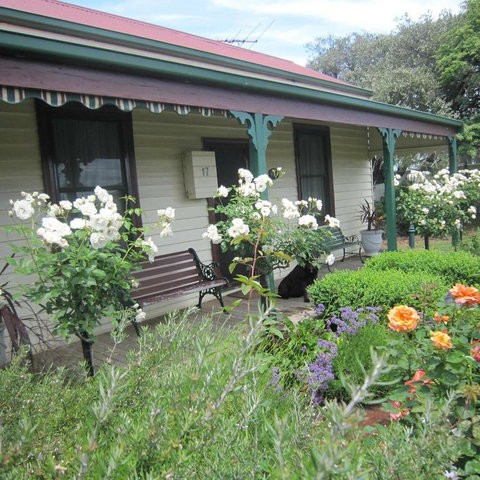 Kaikora Seaside Cottage - C Tourism 3