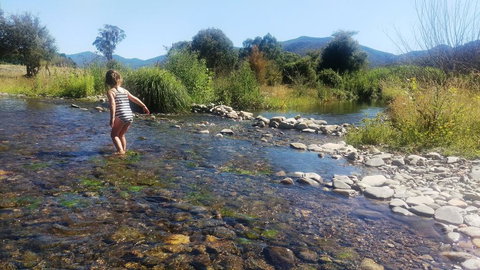 Khancoban Lakeside Caravan Park - C Tourism 3