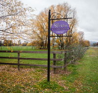 King River Cottage - C Tourism