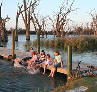 Kingston-on-Murray Caravan Park - C Tourism