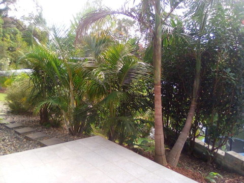 Korora Guest House - C Tourism 2