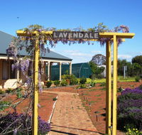 Lavendale Farmstay and Cottages York - C Tourism