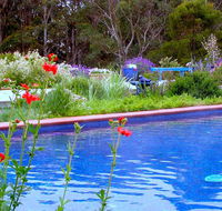 Lemonade Creek Cottages - C Tourism