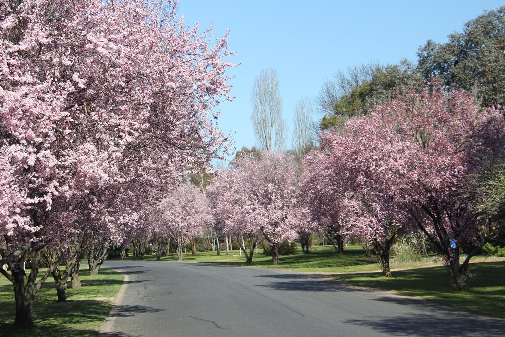 Kelso NSW C Tourism