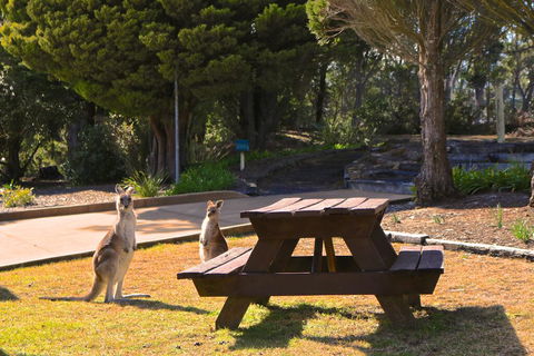 Leura Lodge At Mt Victoria - C Tourism 2