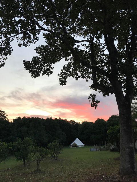 Luxury Tee Pee Byron Bay - C Tourism 3