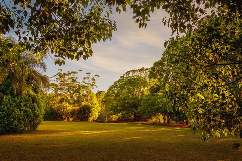 Malanda Lodge - C Tourism 1