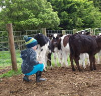 Manderley Park Farmstay BB - C Tourism