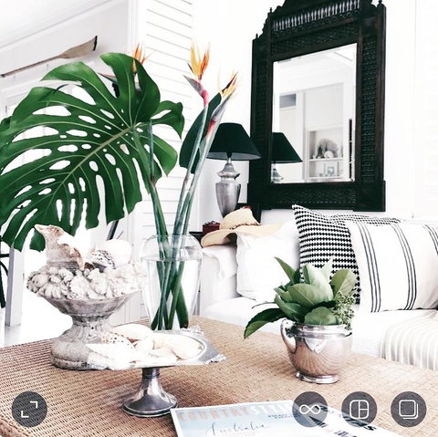 Manly Beach Retreat - C Tourism 0