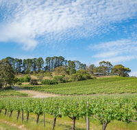 McLaren Vale Getaways - C Tourism