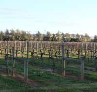 Milawa Vineyard Views - Guesthouse 2 - C Tourism