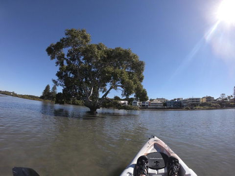 Moreton Bay Beach Lodge - C Tourism 1