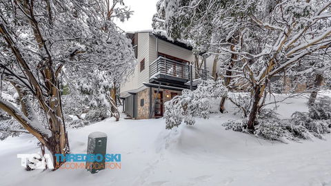 Mosswood 1 - C Tourism 2