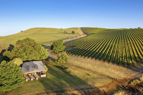 Mt Bellevue - C Tourism 0