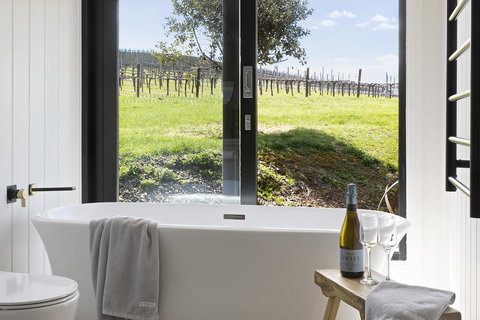 Mt Bellevue - C Tourism 3