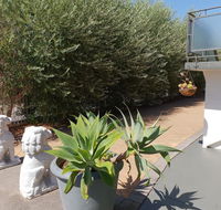 Mt.Lawley superb 2 BR Apartment Ideally located 5 - C Tourism