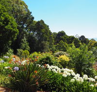 Murrindindi - C Tourism