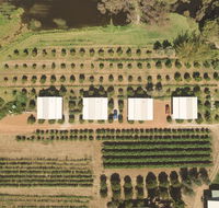 Swan Valley Sisters - C Tourism