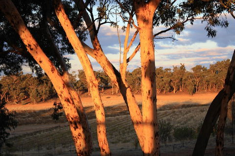 Hotham Ridge Estate - C Tourism 30