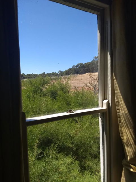 Hotham Ridge Estate - C Tourism 8