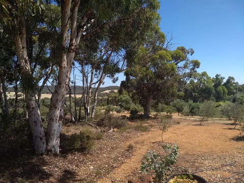 Hotham Ridge Estate - C Tourism 13