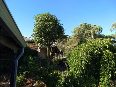 Hotham Ridge Estate - C Tourism 5