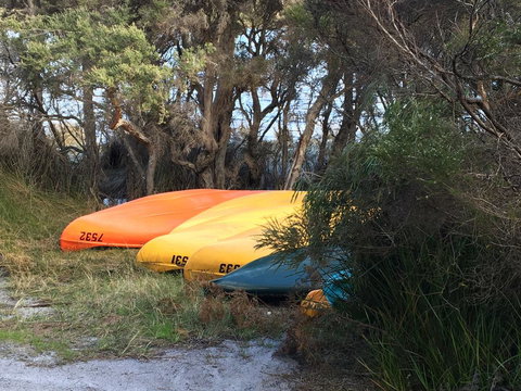 Riverside Retreat Chalets, Walpole - C Tourism 20