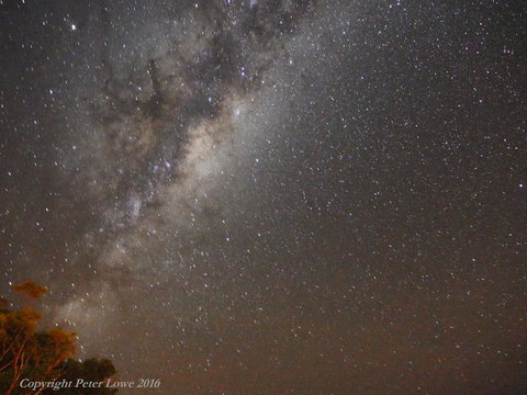 Riverside Retreat Chalets, Walpole - C Tourism 26