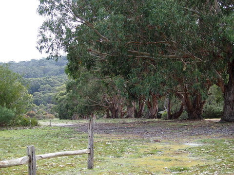 Riverside Retreat Chalets, Walpole - C Tourism 17