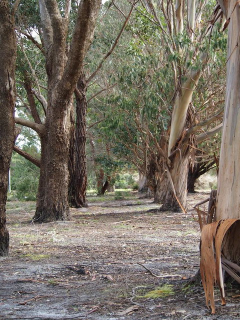 Riverside Retreat Chalets, Walpole - C Tourism 16