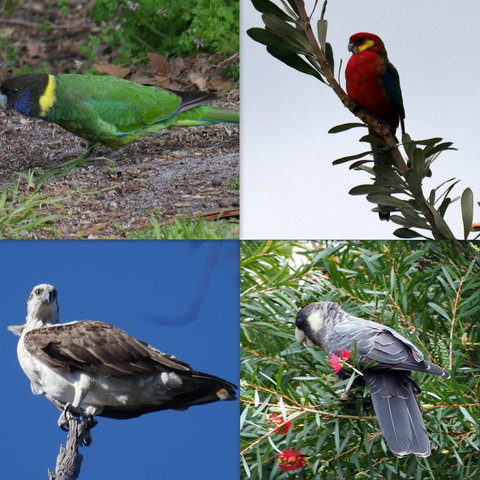 Riverside Retreat Chalets, Walpole - C Tourism 24