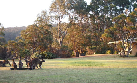 Riverside Retreat Chalets, Walpole - C Tourism 0