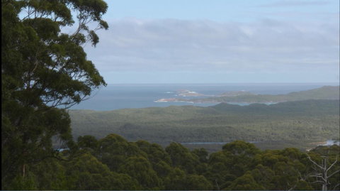 Riverside Retreat Chalets, Walpole - C Tourism 30